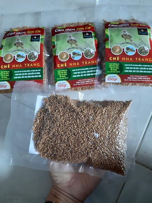 Ảnh 2 của Cám chim sơn ca 'CHẾ NHA TRANG'