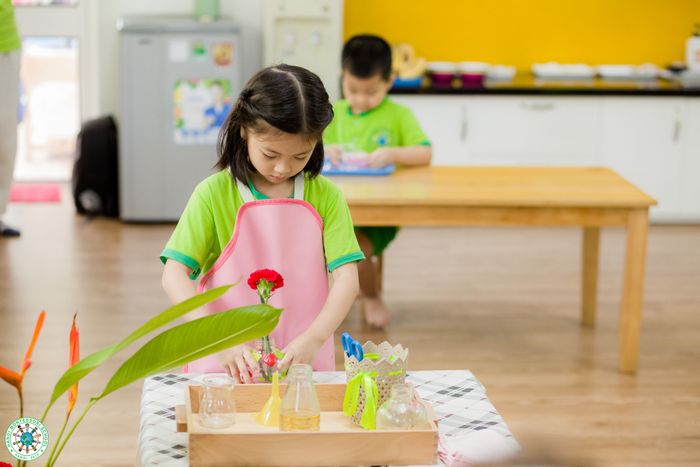 Hình ảnh Trường Hanoi Montessori School 2