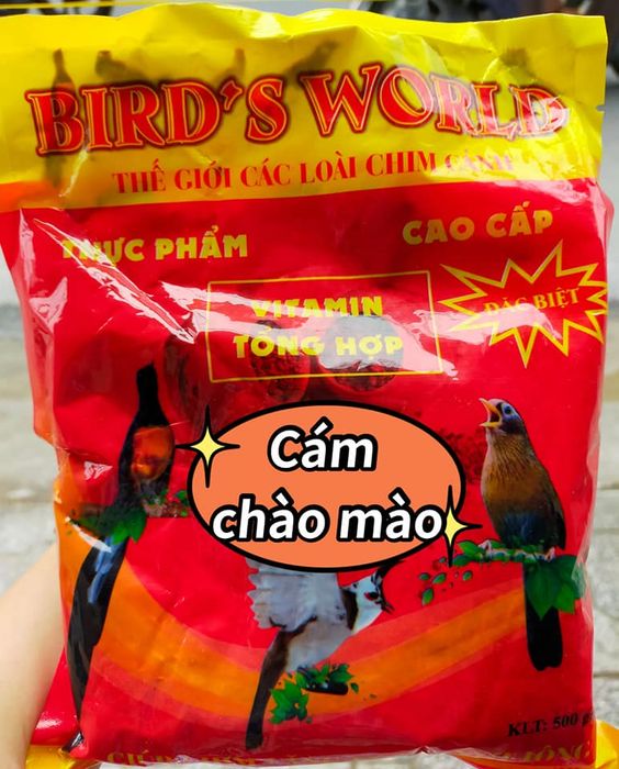 Ảnh 1 của Tiệm Chim Cám Hà