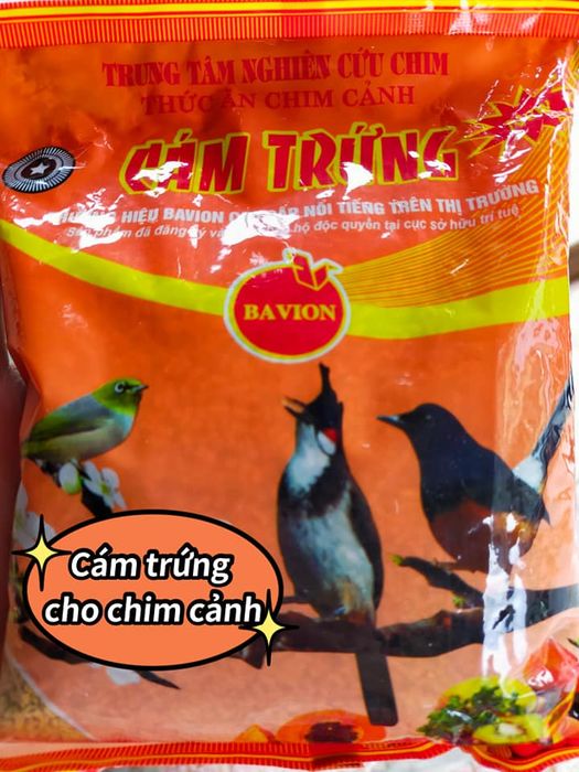 Ảnh 2 của Tiệm Chim Cám Hà