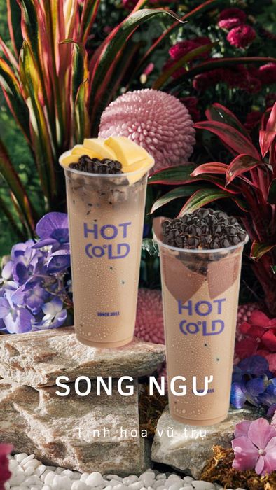 Hình ảnh Hot Cold - Trà Sữa & Xiên Que 2
