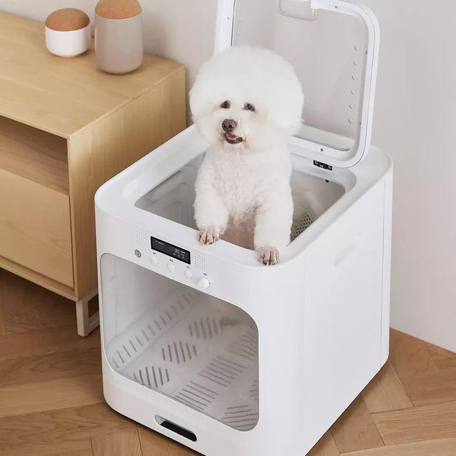 Hình ảnh 1 của Pet Drying Box
