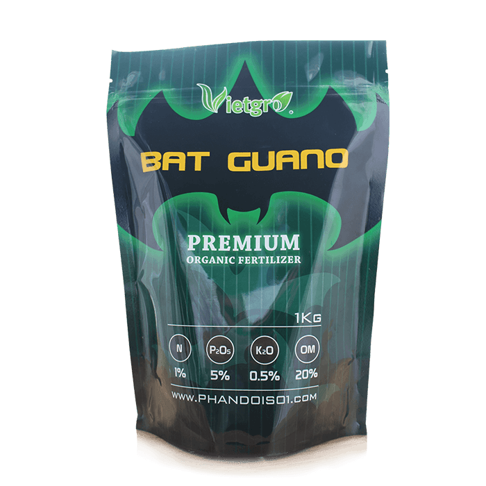 Hình ảnh chi tiết phân dơi Bat Guano - Sản phẩm hữu cơ cao cấp nhập khẩu