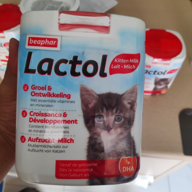 Hình ảnh sữa Beaphar Lactol Kitten Milk cho mèo con 1
