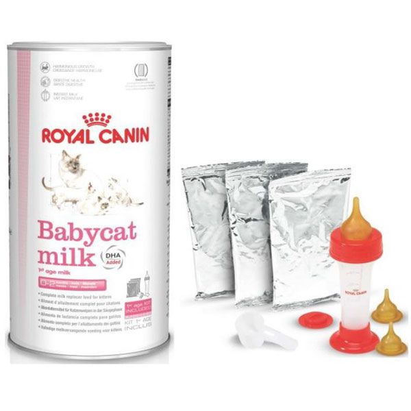 Hình ảnh sữa Beaphar Lactol Kitten Milk cho mèo con 2