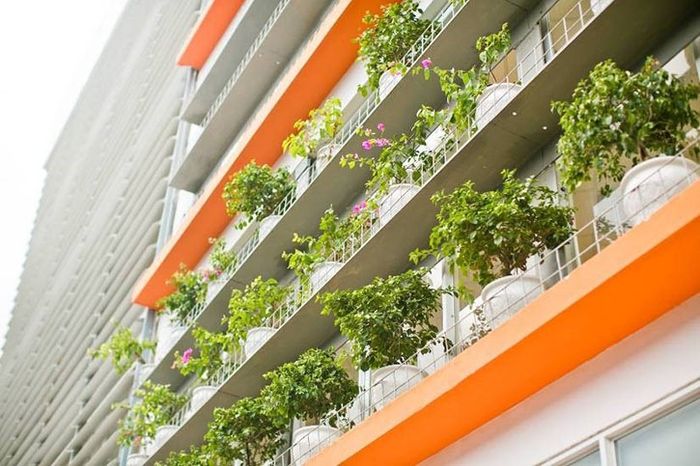 Hình ảnh ấn tượng về Đại học FPT - Kiến trúc hiện đại hài hòa với thiên nhiên tại Khu Công nghệ cao Hòa Lạc