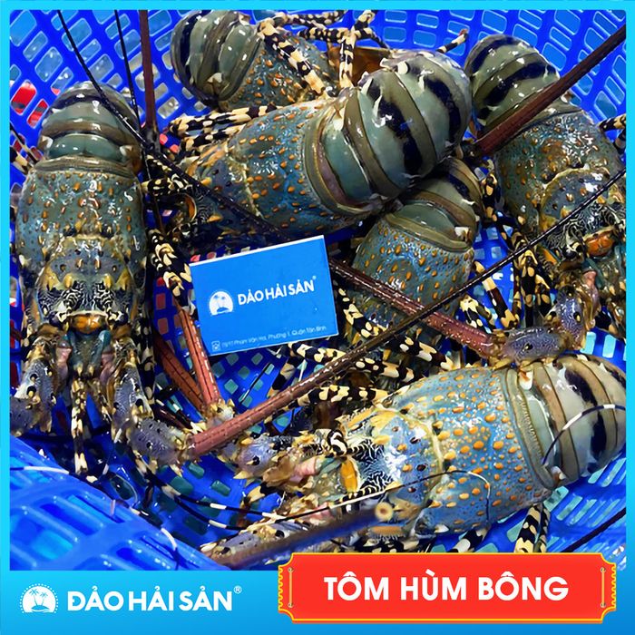 Hình ảnh Vựa Hải Sản Xanh 2