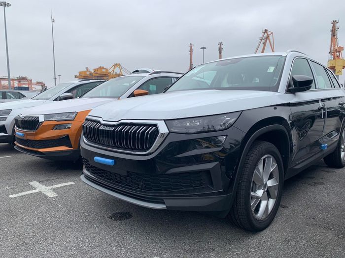 Sắp có Skoda Karoq, Kodiaq giá cao bán tại Việt Nam: Đối thủ Nhật, Hàn - Hình 2.