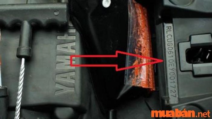 Cà số khung, số máy xe máy