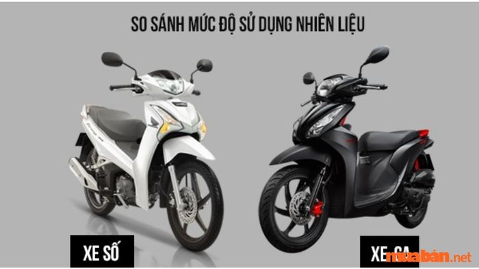 Nên mua xe ga hay xe số?