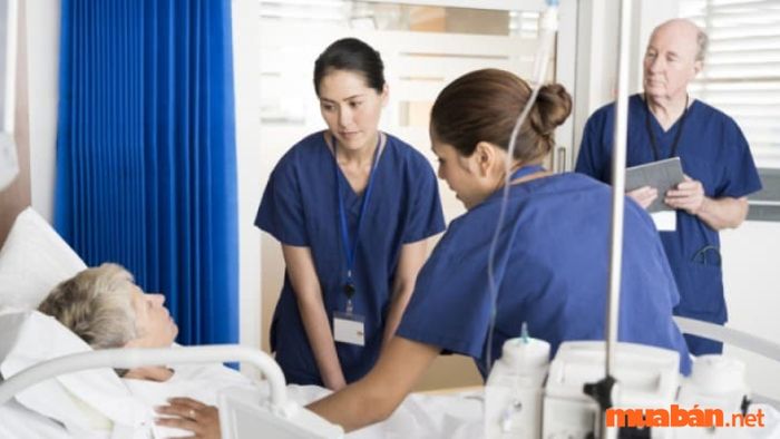 Công việc của Registered Nurse là gì?