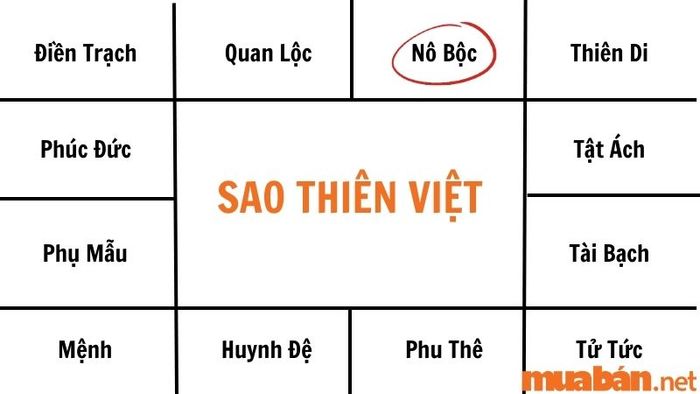 Sao Thiên Việt nên kết bạn với những người có địa vị, quyền lực và tri thức sâu rộng.