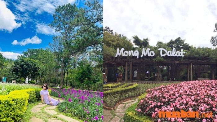 Mùa khô bầu trời trong xanh, mùa mưa bầu trời có chút u ám tại Đồi Mộng Mơ Đà Lạt