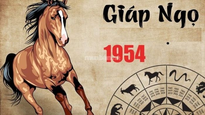 Khái quát về người tuổi Giáp Ngọ 1954.