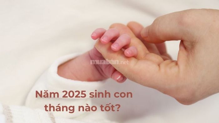 Năm 2025 nên sinh con vào tháng nào để thuận lợi? Tính cách của bé và sự hợp tuổi với bố mẹ ra sao?