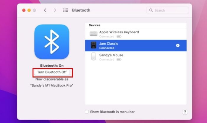 Nhấn vào mục Bluetooth trong thanh bên