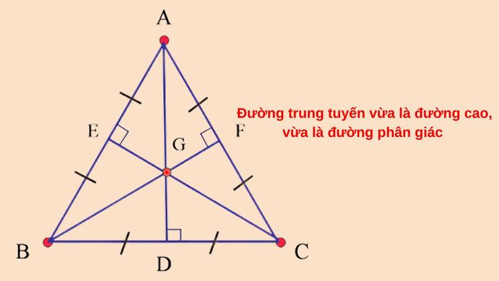 Đường trung tuyến trong tam giác đều