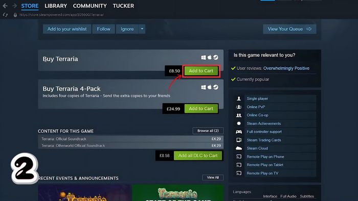 Hướng dẫn cài đặt Terraria trên máy tính - bước 2