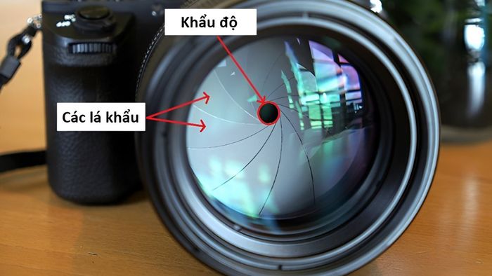 Phương pháp khắc phục ống kính máy ảnh bị mờ bằng cách điều chỉnh khẩu độ hợp lý