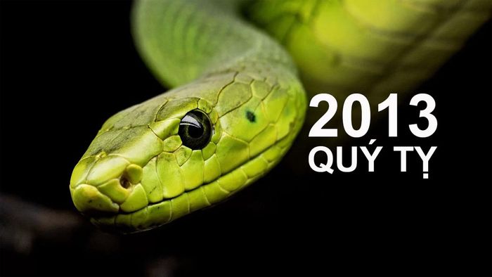 Người sinh năm 2013 thuộc tuổi gì?