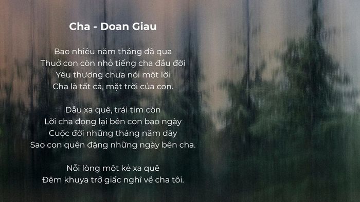Tâm Sự Về Ngày Thánh Cha