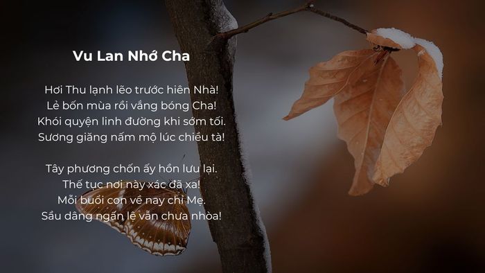 Tâm Hồn Trong Bài Thơ Ngày Của Cha Trong Đạo Phật