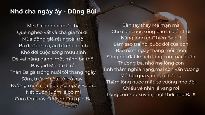 Tình cảm trong những bài thơ về cha đã ra đi