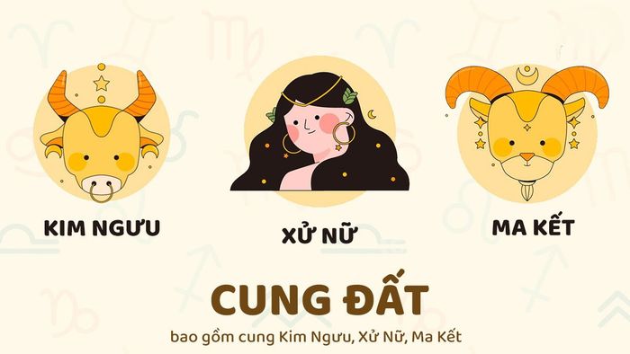Nhóm cung đất bao gồm những cung nào?