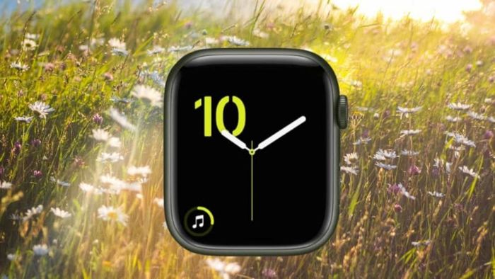 Mặt đồng hồ Apple Watch đơn giản
