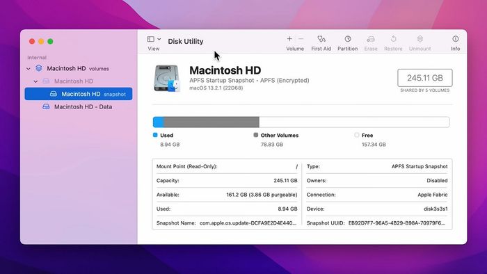 Hướng dẫn kiểm tra dung lượng ổ cứng MacBook qua Disk Utility, bước 3