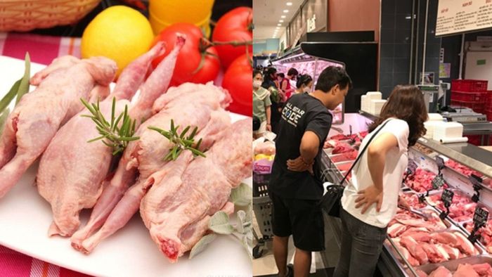 Hướng dẫn chọn chim cút tươi ngon