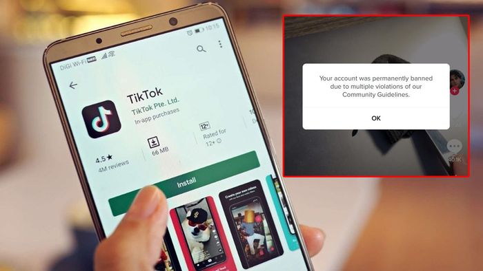 Tại sao tài khoản TikTok bị đình chỉ