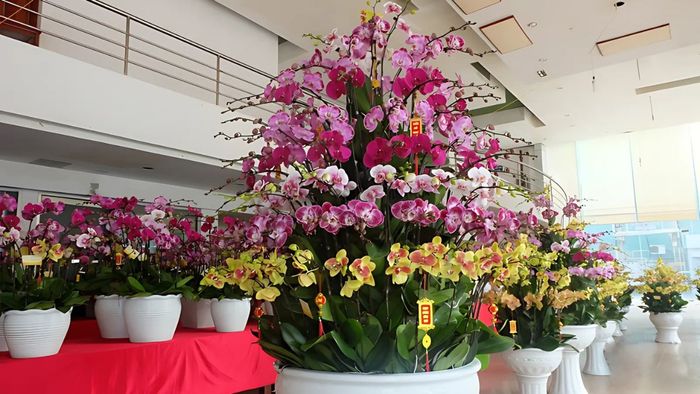 Giỏ quà Tết hiện đại, độc lạ dành cho người thân