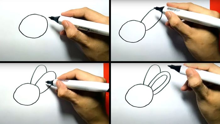 Cách vẽ đôi tai con thỏ