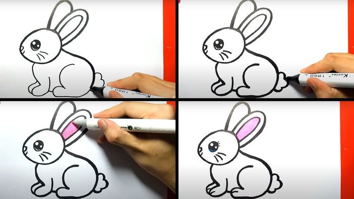 Cách hoàn thiện và tô màu cho con thỏ