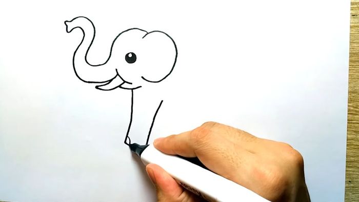 Vẽ chú voi dễ thương vẽ chân của chú voi