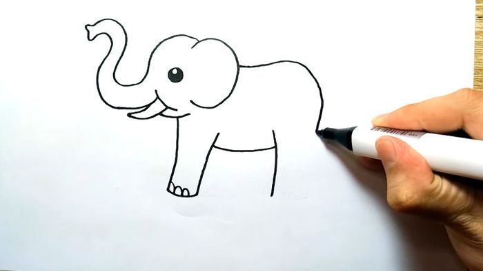 Vẽ chú voi dễ thương vẽ thân của chú voi