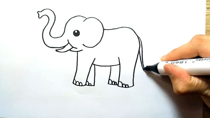 Vẽ chú voi đáng yêu vẽ đuôi của chú voi