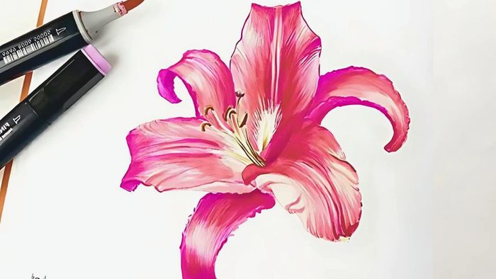 Các bước vẽ hoa ly đơn giản - Bước 4