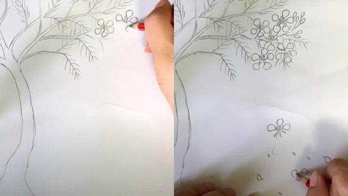 Các bước vẽ hoa phượng đơn giản - bước 3