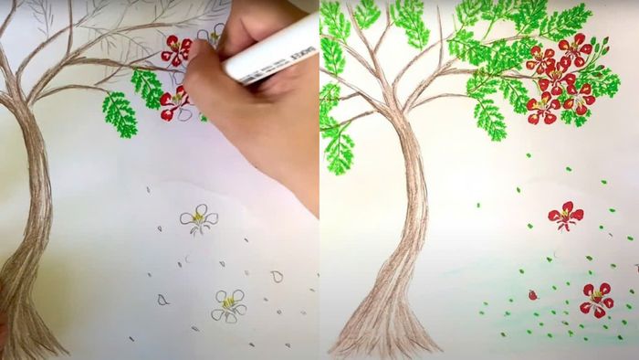 Cách vẽ hoa phượng đơn giản nhất - bước 4