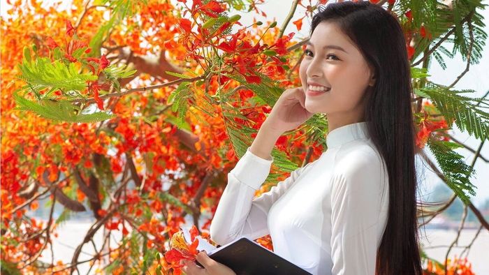 Một số câu hỏi thường gặp khi vẽ hoa phượng