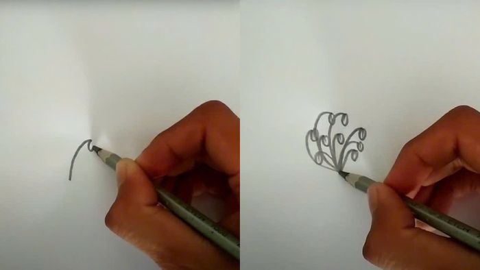Hướng dẫn vẽ hoa phượng bằng bút chì và cách vẽ nhụy hoa
