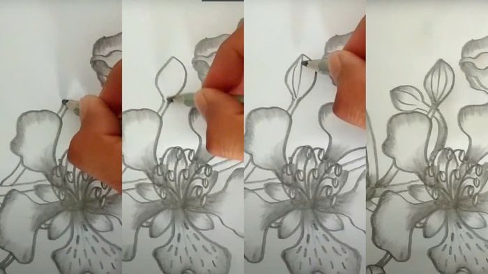 Cách vẽ nụ hoa phượng bằng bút chì
