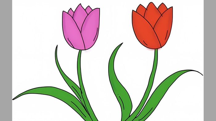 Chi tiết vẽ hoa tulip - bước 3