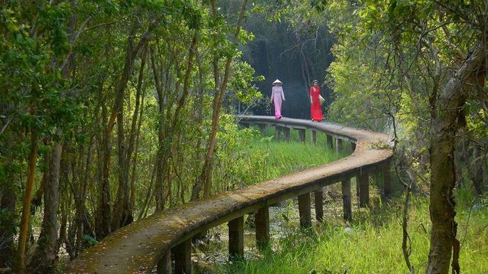 Điểm du lịch Long An - Làng nổi Tân Lập độc đáo
