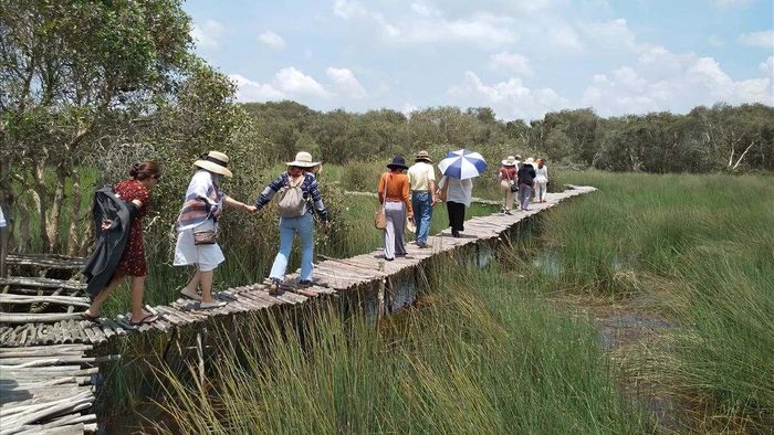 Địa danh nổi tiếng Long An - Cầu Tre Cánh Đồng Bất Tận