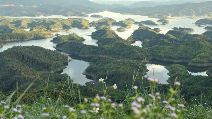 Đắk Nông nằm ở khu vực nào trên bản đồ Việt Nam?