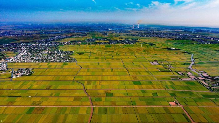 Ảnh đẹp Thái Bình với sắc xanh biếc mênh mông.
