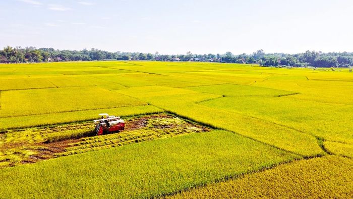 Ảnh đẹp Thái Bình mang vẻ thanh thoát, nhẹ nhàng.